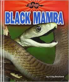 Black Mamba (Slither!)