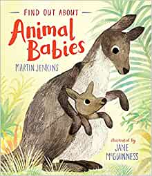 Find Out About Animal Babies