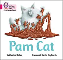 Collins Big Cat Phonics for Letters and Sounds – Pam Cat: Band 1B/Pink B