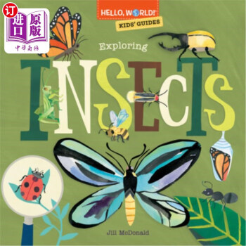 海外直訂Hello, World! Kids' Guides: Exploring Insects 你好,世界!兒童指南:探索昆蟲