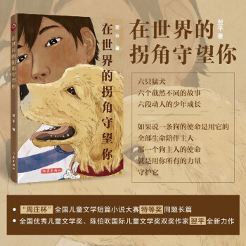 在世界的拐角守望你(優(yōu)秀兒童文學獎、陳伯吹國際兒童文學獎雙獎作家翌平力作)