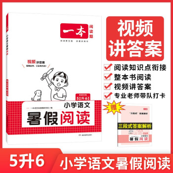 2023新版一本小學(xué)語文暑假閱讀五升六暑期銜接課外書書籍強化訓(xùn)練題人教版五年級下冊升六年級上冊暑假作 語文 小學(xué)五年級