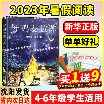 母雞麥拉蘇2023年456年級(jí)暑假閱讀書少年和他的追風(fēng)逐日飛火我們?nèi)绱擞赂要{王卡莫里少年運(yùn)輸兵失蹤的木活字親愛的足球在里約熱內(nèi)盧旅行 母雞麥拉蘇