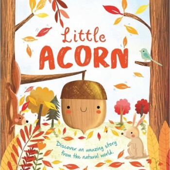 Nature Stories: Little Acorn: Padded Board Book