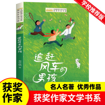 全國優(yōu)秀文學獎獲獎作家書系——追趕風車的男孩