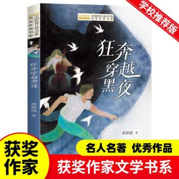 全國優(yōu)秀文學(xué)獎獲獎作家書系——狂奔穿越黑夜