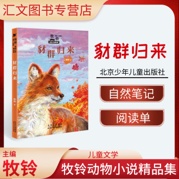 牧鈴動物小說精品集 豺群歸來 北京少年兒童出版社