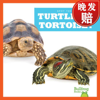 【4周達(dá)】Turtle or Tortoise?