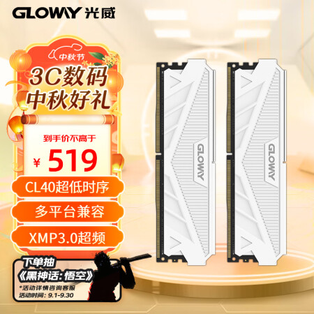 光威(Gloway)32GB(16GBx2)套裝 DDR5 5200 臺式機內(nèi)存條 天策系列 助力AI 適配黑神話悟空