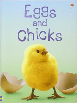 Eggs and Chicks