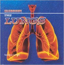 The Lungs