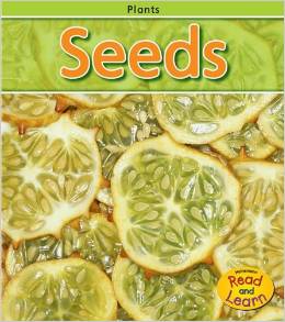 Seeds (Plants)