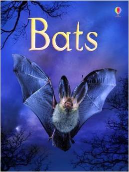 Bats