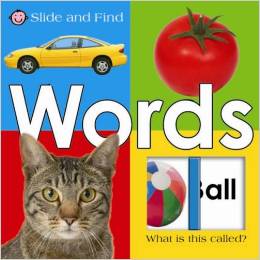 Slide and Find Words