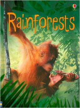 Rainforests