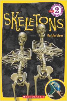 Skeletons