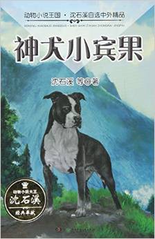 沈石溪自選中外精品·神犬小賓果