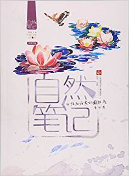 自然筆記(6住在我家的戴勝鳥)