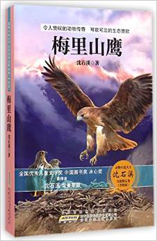 動物小說大王沈石溪自選精品集: 梅里山鷹(升級版) [11-14歲]