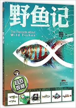 自然觀察: 野魚(yú)記