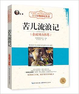 大閱讀·教育部語文新課標(biāo)N+1分級閱讀:苦兒流浪記(黑白版)