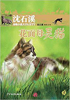 沈石溪動物小說大party: 花面母靈貓