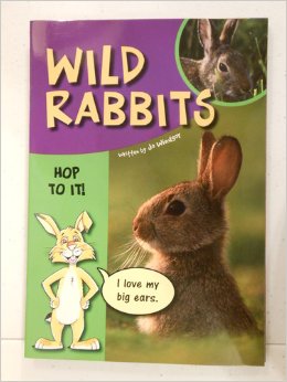 Rigby Sails Sailing Solo: Leveled Reader Wild Rabbits