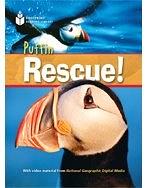 Puffin Rescue! 1000