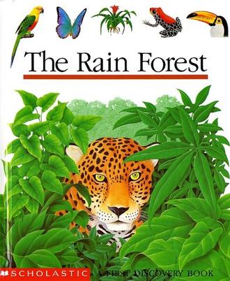 The Rain Forest First Discovery Books