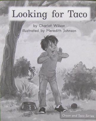 Looking For Taco