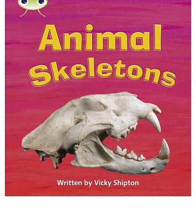 Animal Skeletons