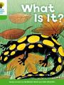 Oxford Reading Tree 2-7: What is it?