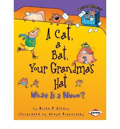 A Cat, a Bat, Your Grandma's Hat What is a Noun?