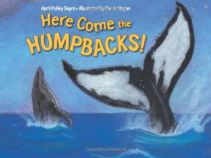 Here Come the Humpbacks!