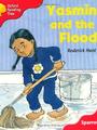 Oxford Reading Tree 4-3: Yasmin and the Flood