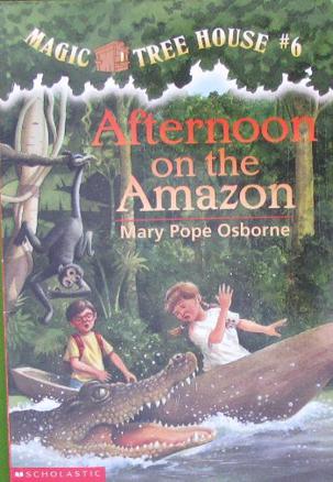 Afternoon on the Amazon