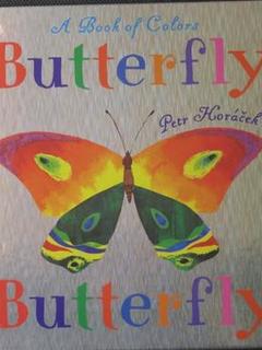 Butterfly Butterfly: A Book of Colors