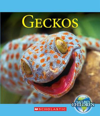 Geckos