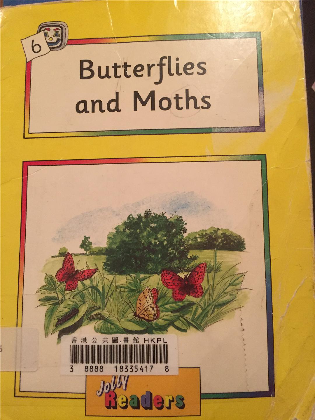 Butterflies and Moths