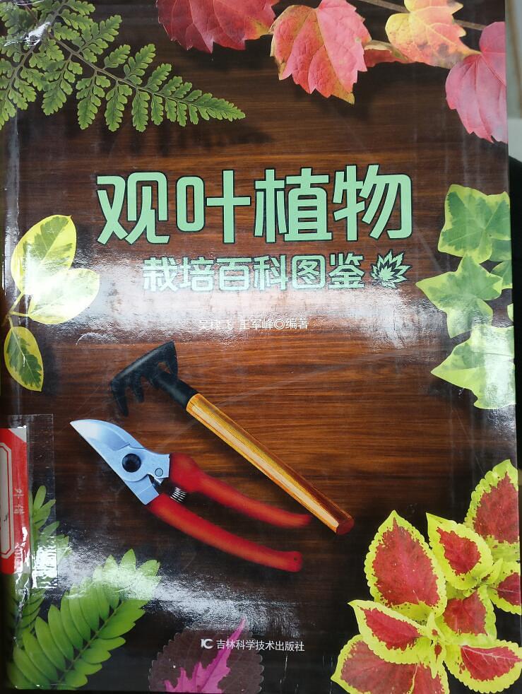 觀葉植物栽培百科圖鑒