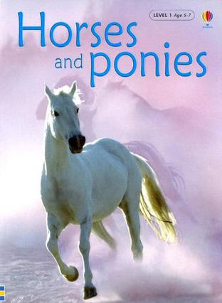 Horses And Ponies