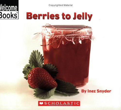 Berries to Jelly