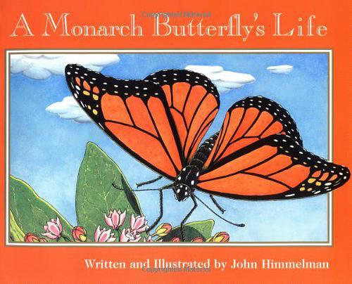 A Monarch Butterfly's Life