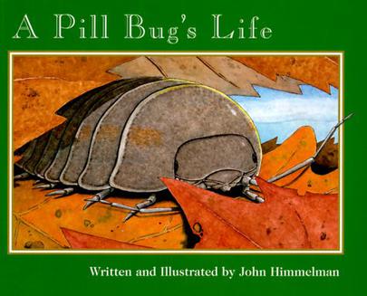 A Pill Bug's Life