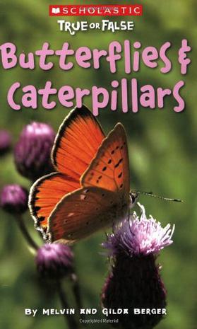 Butterflies And Caterpillars