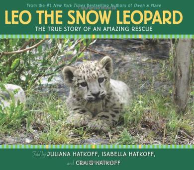 Leo the Snow Leopard