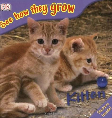 DK See How They Grow : Kitten