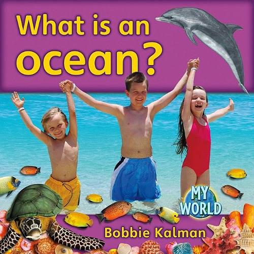 What Is an Ocean?