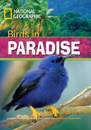 Birds in Paradise