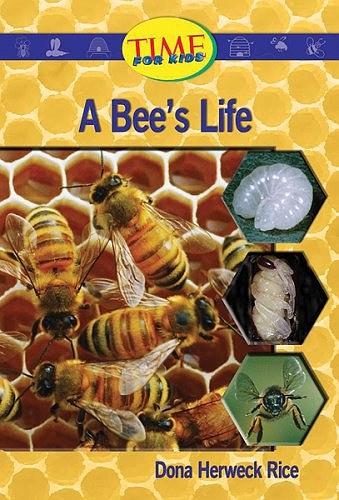 A Bee's Life